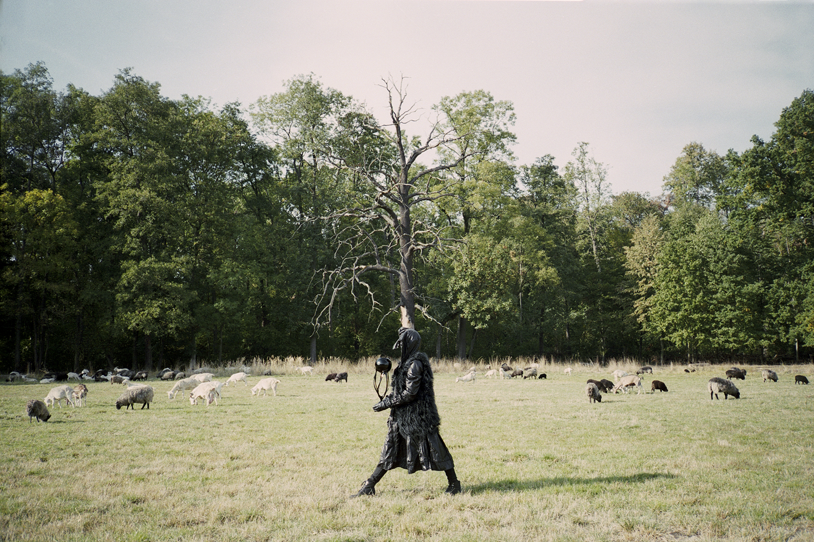 PHOTOANDO.COM - Oliver Britton - FotoDrone - Fotografia studyjna i powietrzna